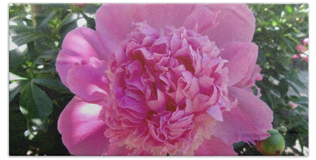 Flower Bath Towel featuring the photograph Pink Peony #1 by Stephanie Moore
