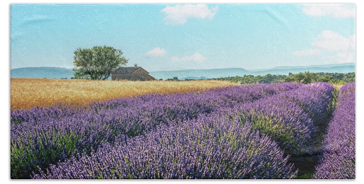 Purple Hand Towel featuring the photograph Provence Landscape #1 by Manjik Pictures