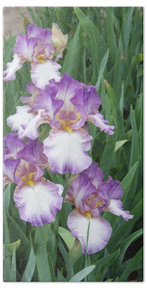 Iris Bath Towel featuring the photograph Purple and White Iris #1 by Michelle Mahnke