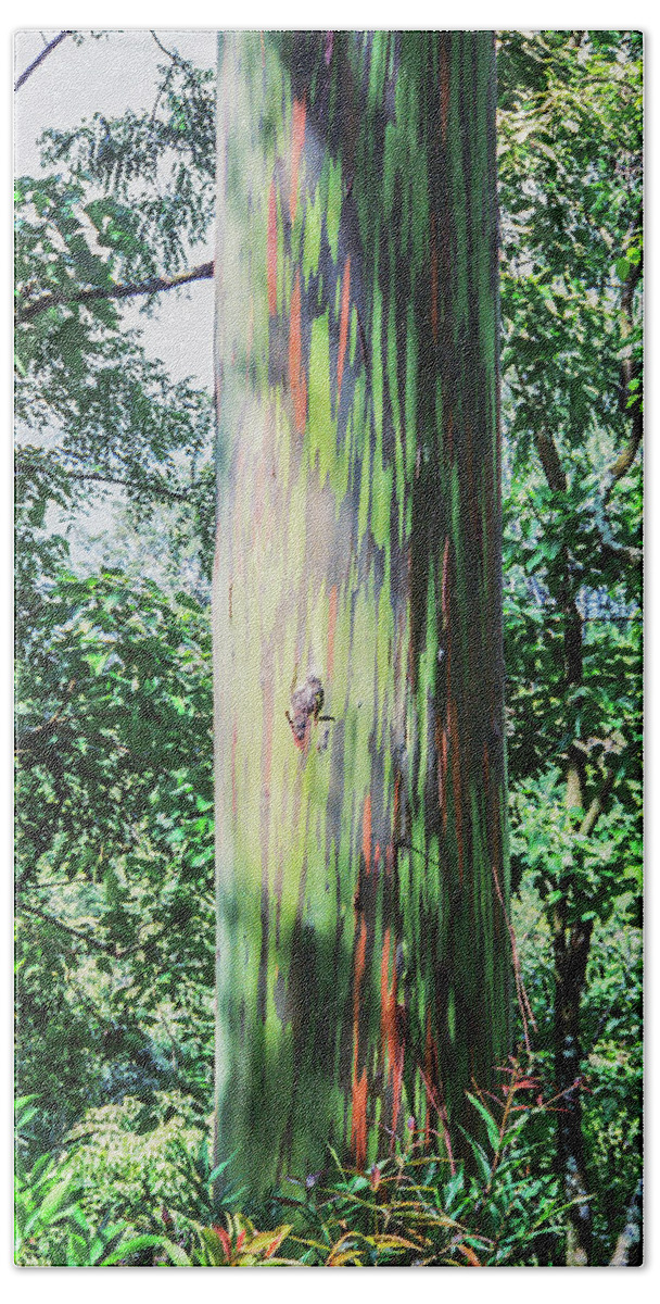 Rainbow Bath Towel featuring the photograph Rainbow tree Hawaii #1 by Gordon Sarti