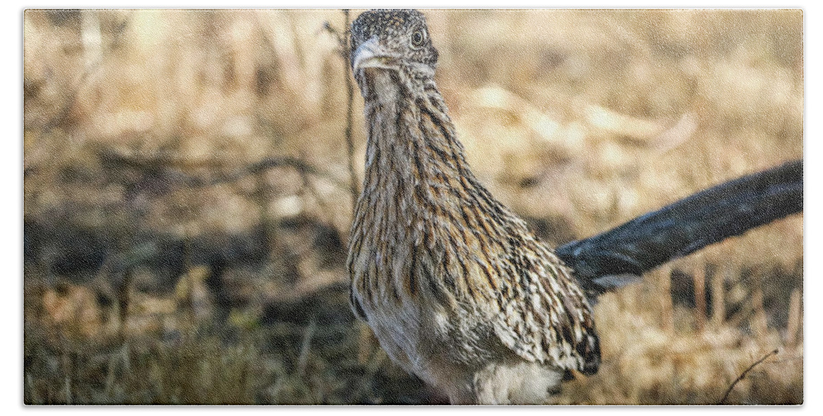 2020 Hand Towel featuring the photograph Roadrunner Close Up #1 by Dawn Richards