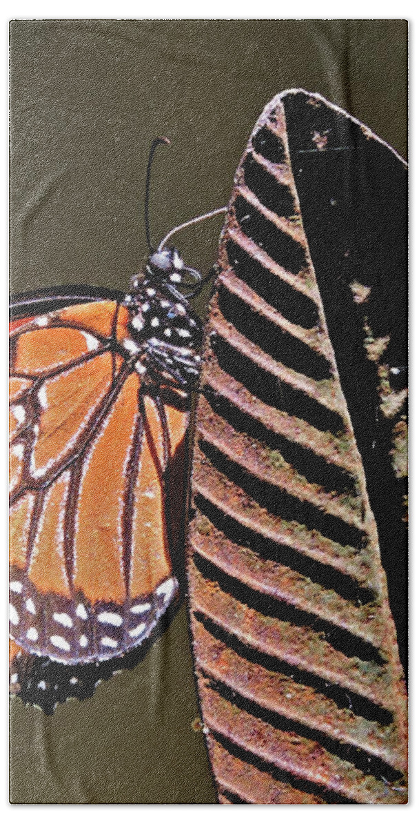 Queen Butterfly Hand Towel featuring the photograph Rusty Queen #1 by Nancy Denmark