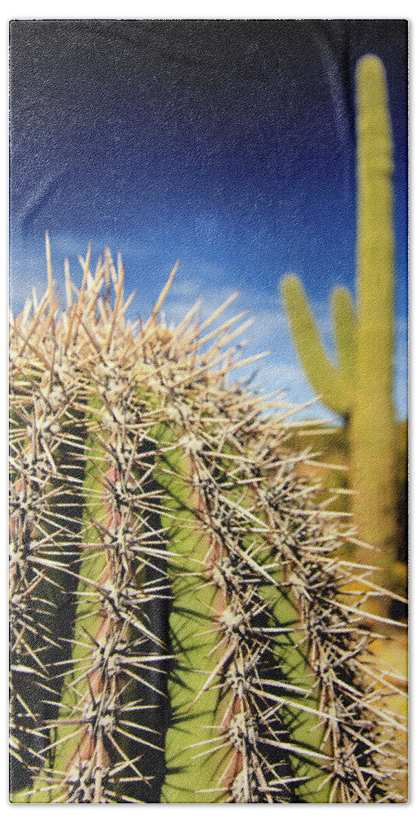 Canyon Bath Towel featuring the photograph Saguaro Cactus in the Arizona Desert #1 by Craig A Walker