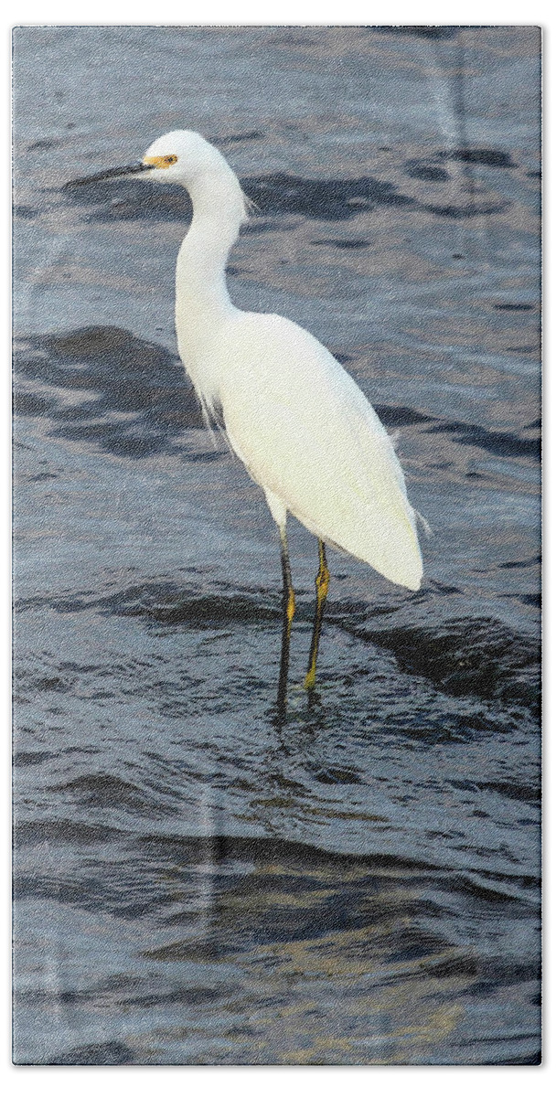 Egret Hand Towel featuring the photograph Snowy Egret #1 by Robert Harris