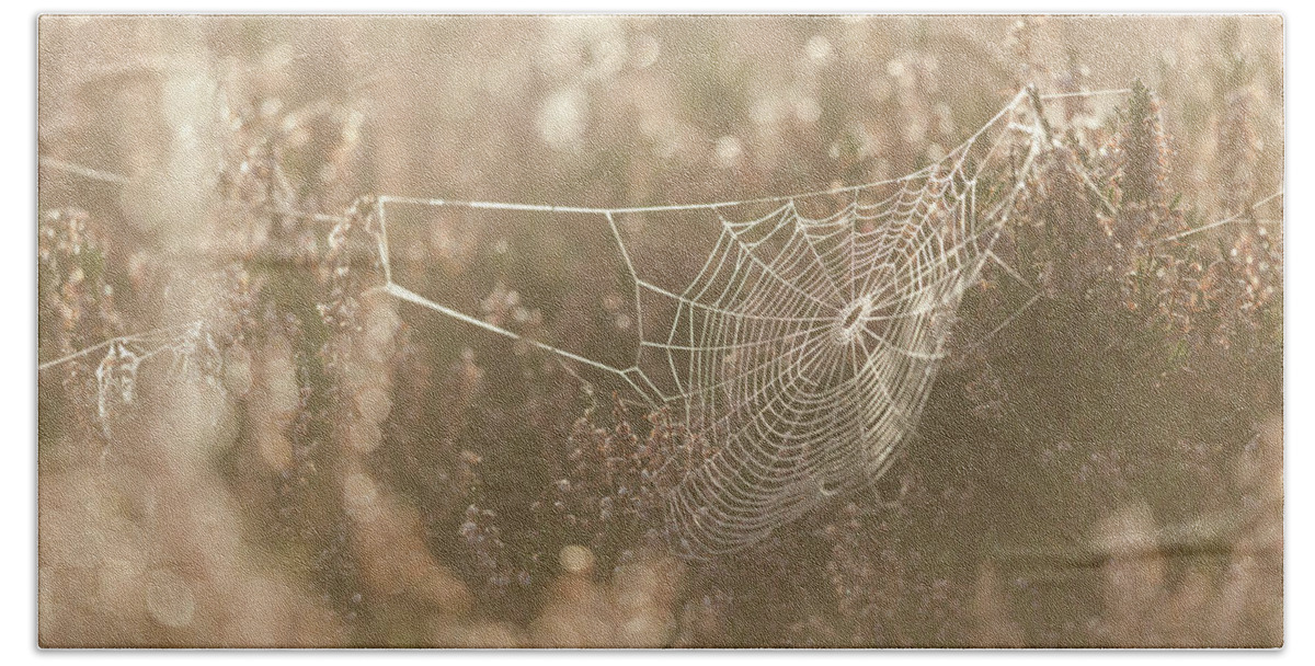 Spider Web Bath Towel featuring the photograph Spider Web by Anita Nicholson
