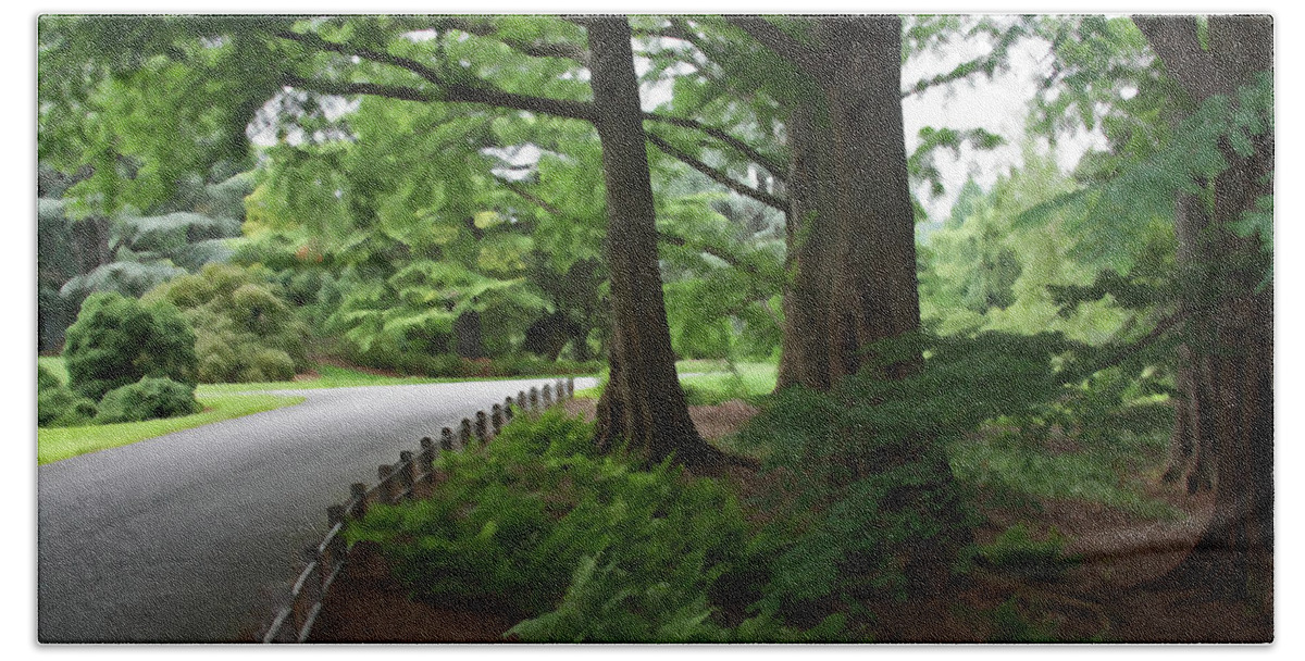 Green Hand Towel featuring the photograph Summer Path #1 by Carolyn Stagger Cokley