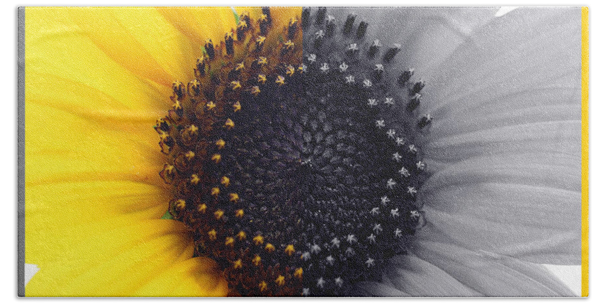 Sunflower Equinox Bath Towel featuring the photograph Sunflower Equinox #1 by Natalie Dowty