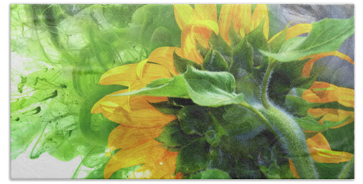 Sunflower Hand Towel featuring the digital art Sunflower Explosion #1 by Elaine Berger