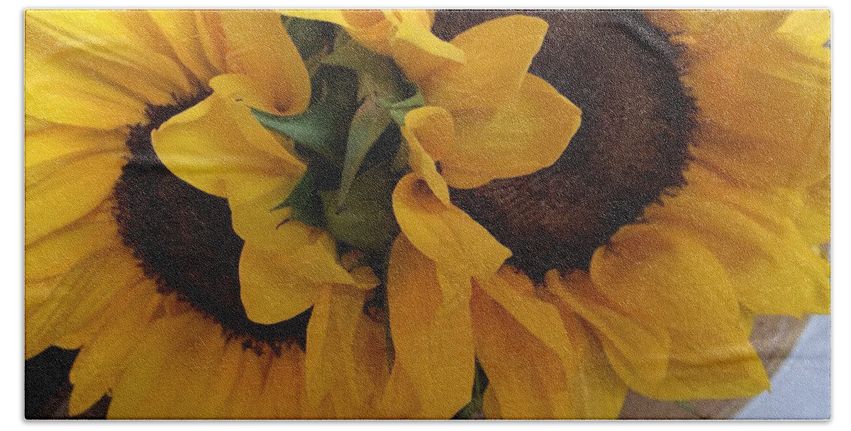Sunny Bath Towel featuring the photograph Sunflower Series 1-1 #1 by J Doyne Miller