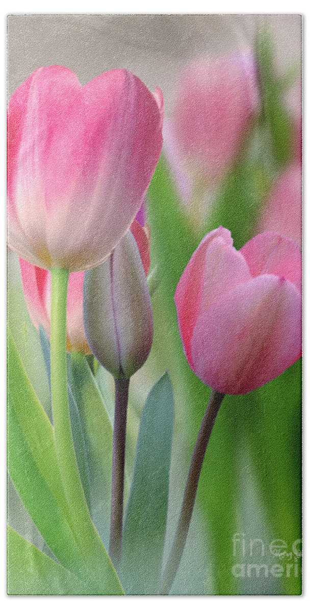 Tall Tulips Bath Towel featuring the pyrography Tall Tulips #1 by Morag Bates