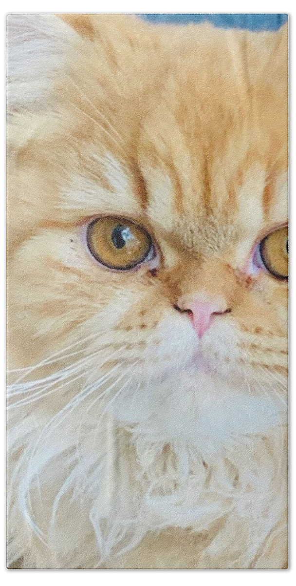 Kitten Hand Towel featuring the photograph Tawny by Juliette Becker