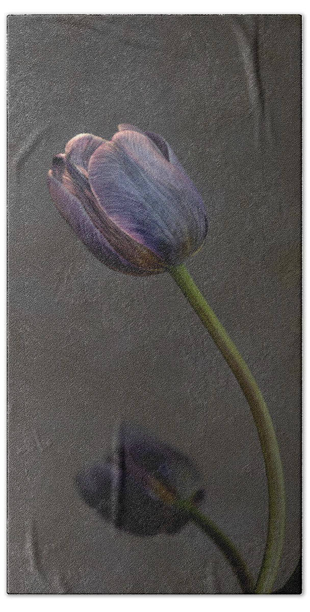 Tulip Hand Towel featuring the photograph Two purple tulips about to open by Alessandra RC