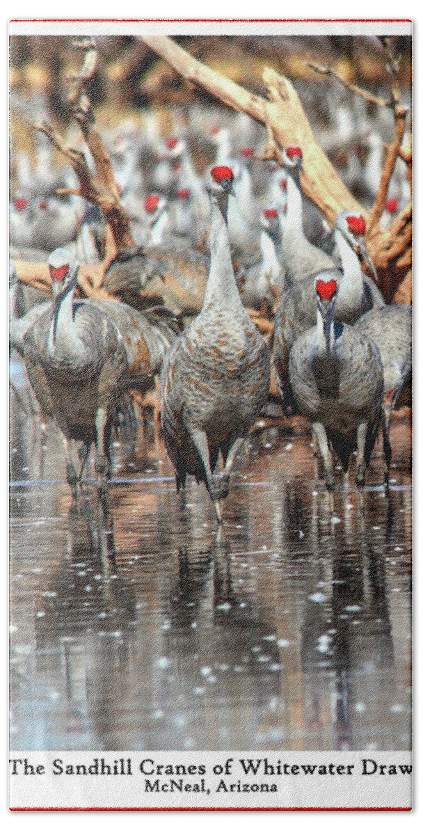 Cranes Bath Towel featuring the photograph The Cranes of Whitewater #1 by Robert Harris