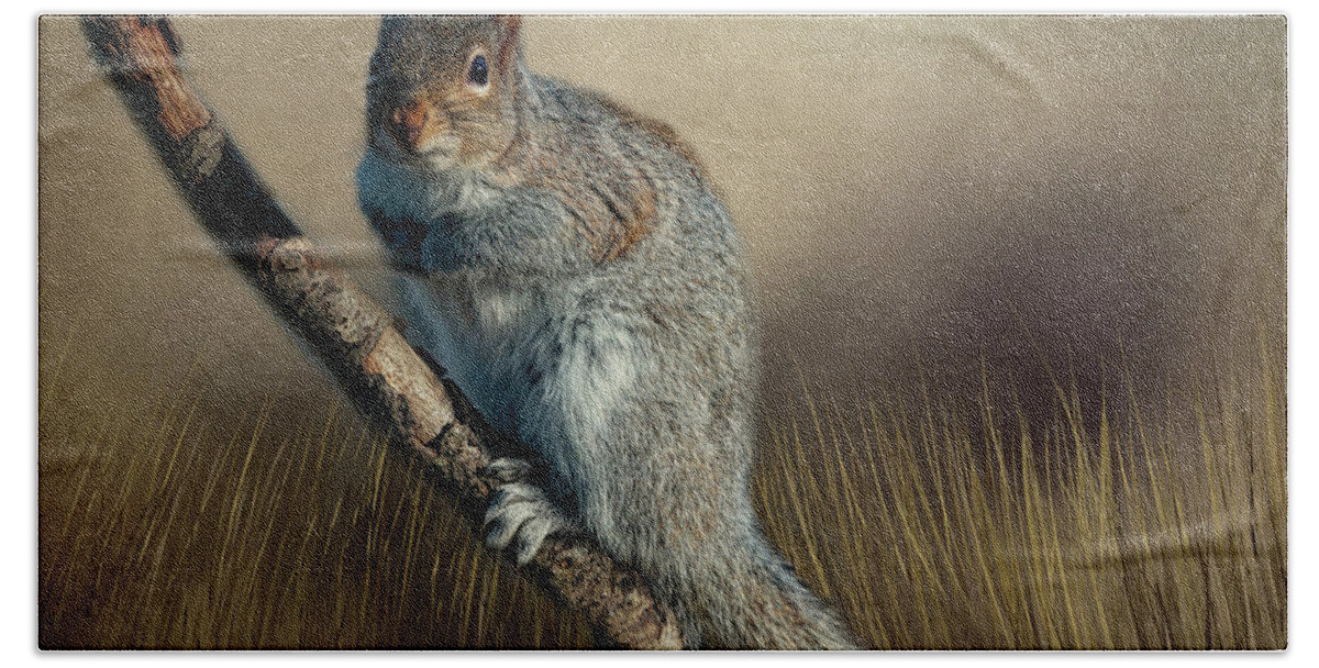 Nature Hand Towel featuring the photograph The Squirrel by Cathy Kovarik