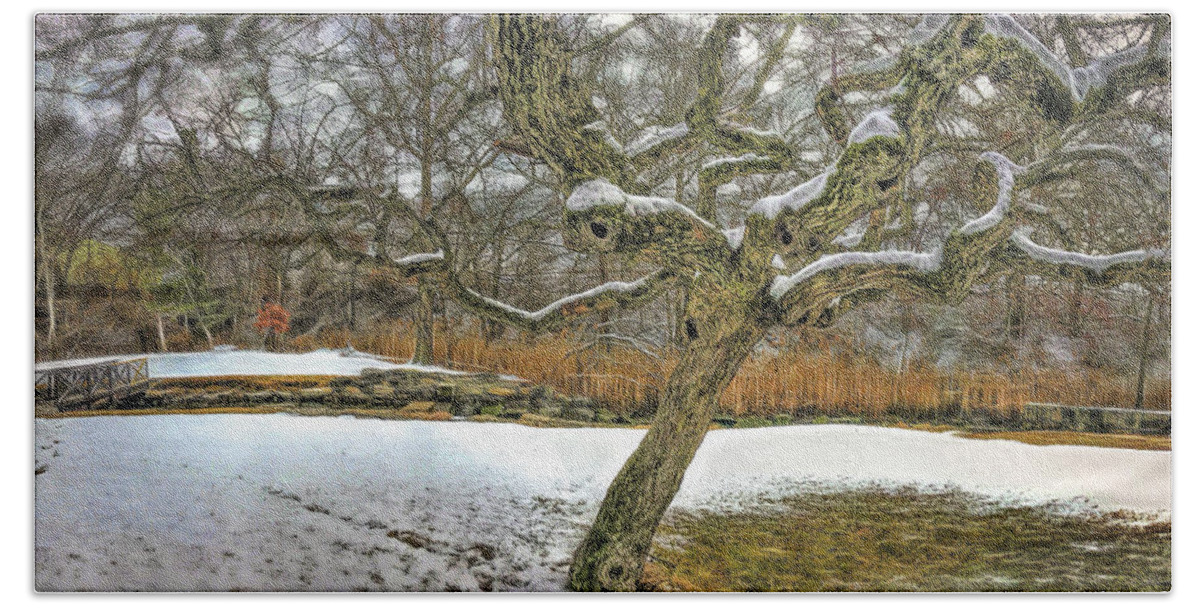 Winter Hand Towel featuring the photograph Tree in the marsh #1 by Cordia Murphy