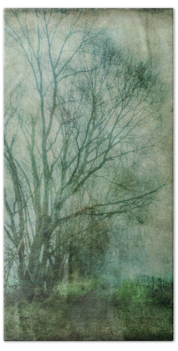 Tree Bath Towel featuring the photograph Tree Mist #1 by Roseanne Jones