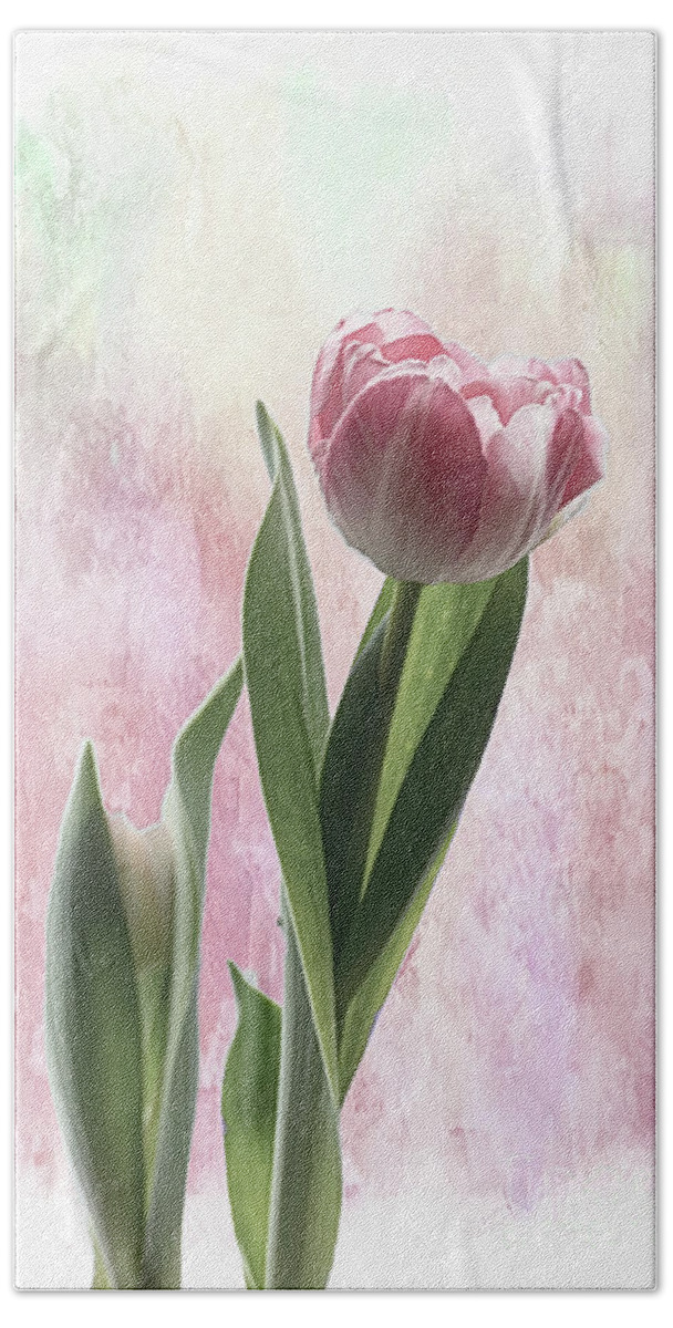 Tulip Hand Towel featuring the photograph Tulip #2 by Lynn Bolt