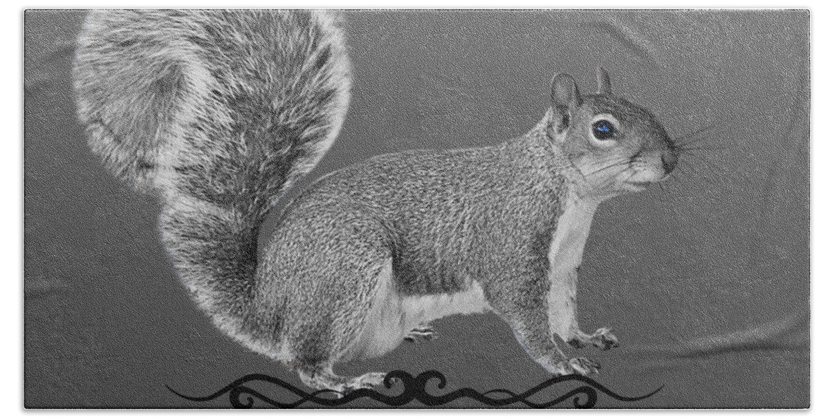 Squirrel Hand Towel featuring the photograph Western Gray Squirrel #1 by Lisa Redfern