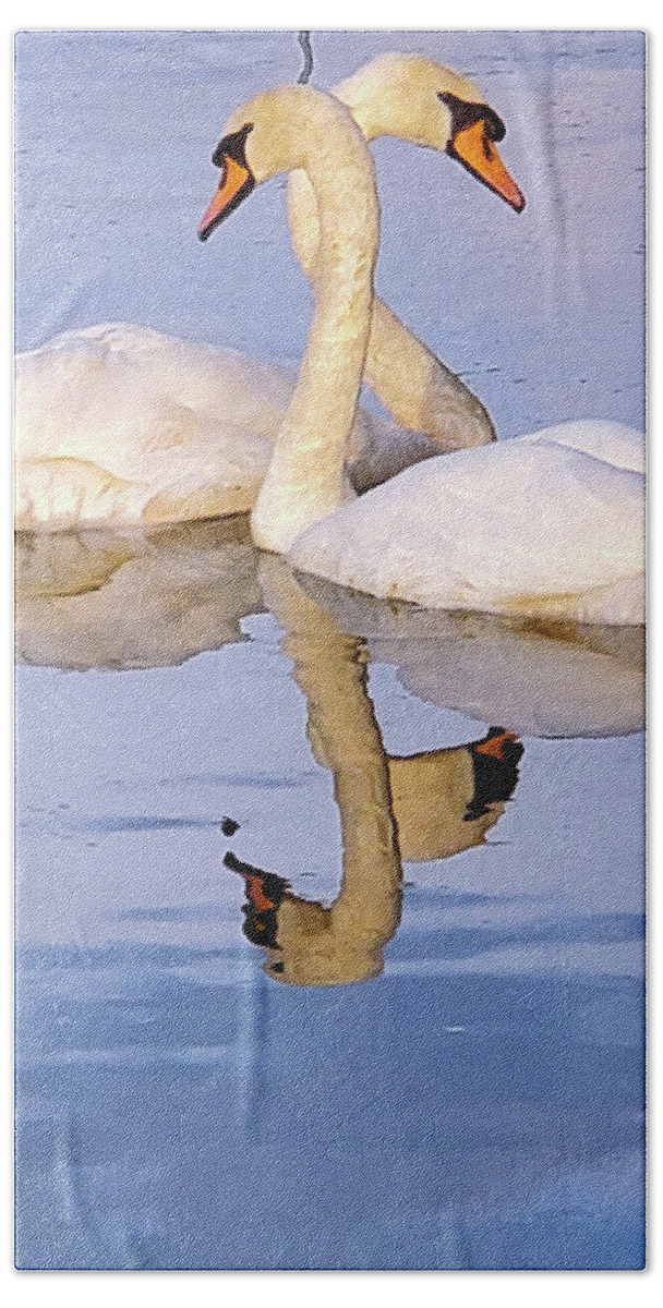 Swans Bath Towel featuring the photograph What's For Dinner? #1 by Andrea Whitaker