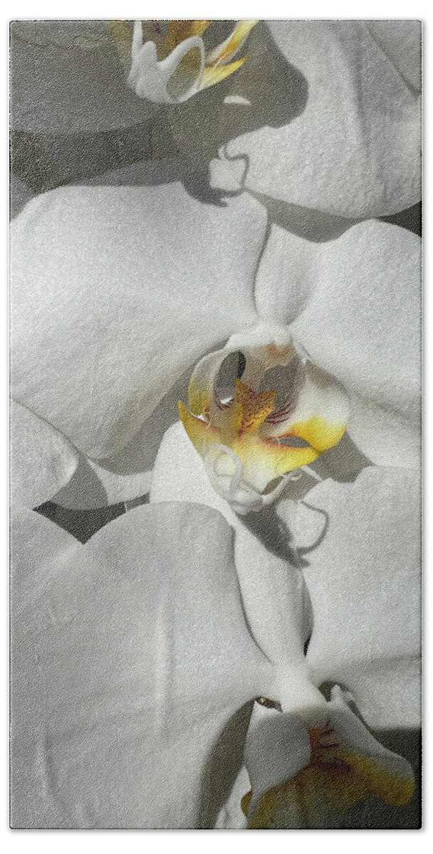 Orchid Bath Towel featuring the photograph White Orchid With Yellow #1 by Karen Zuk Rosenblatt