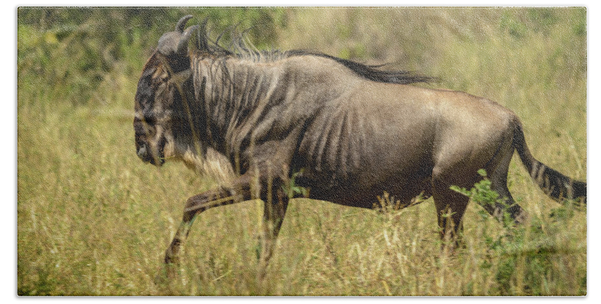 Africa Bath Towel featuring the photograph Wildebeest Alone #1 by Adrian O Brien