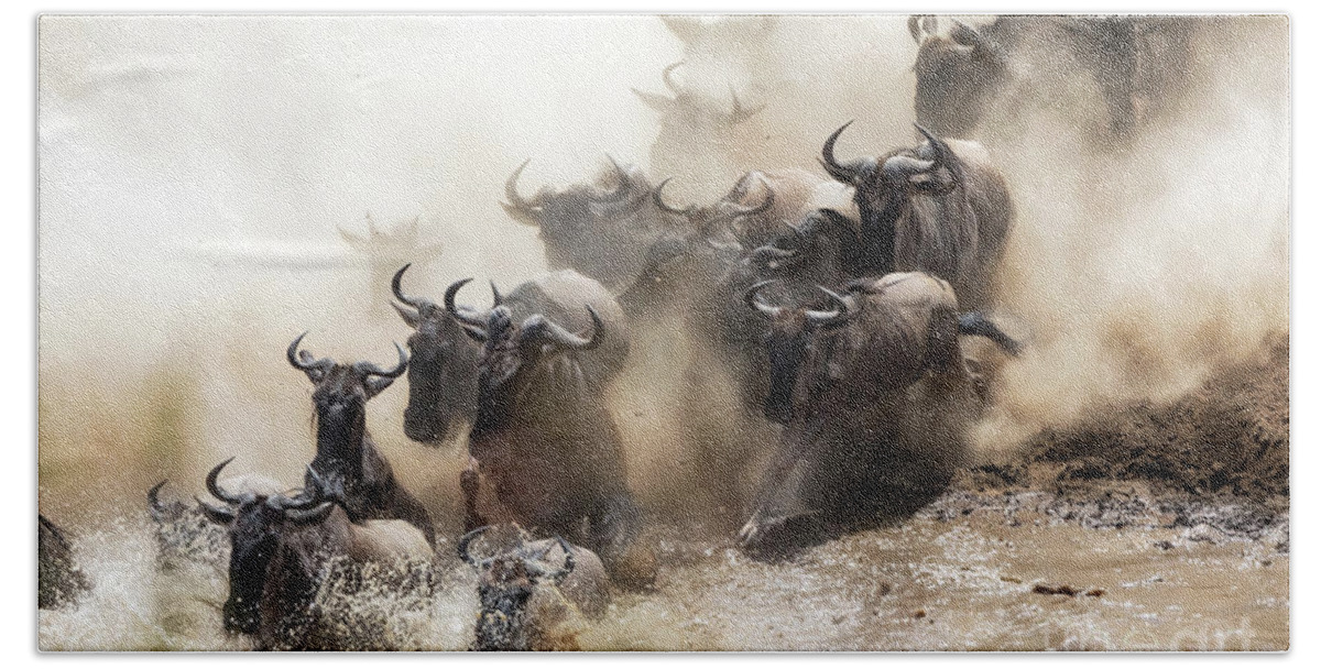 Mara Hand Towel featuring the photograph Wildebeest herd crossing the Mara River #1 by Jane Rix