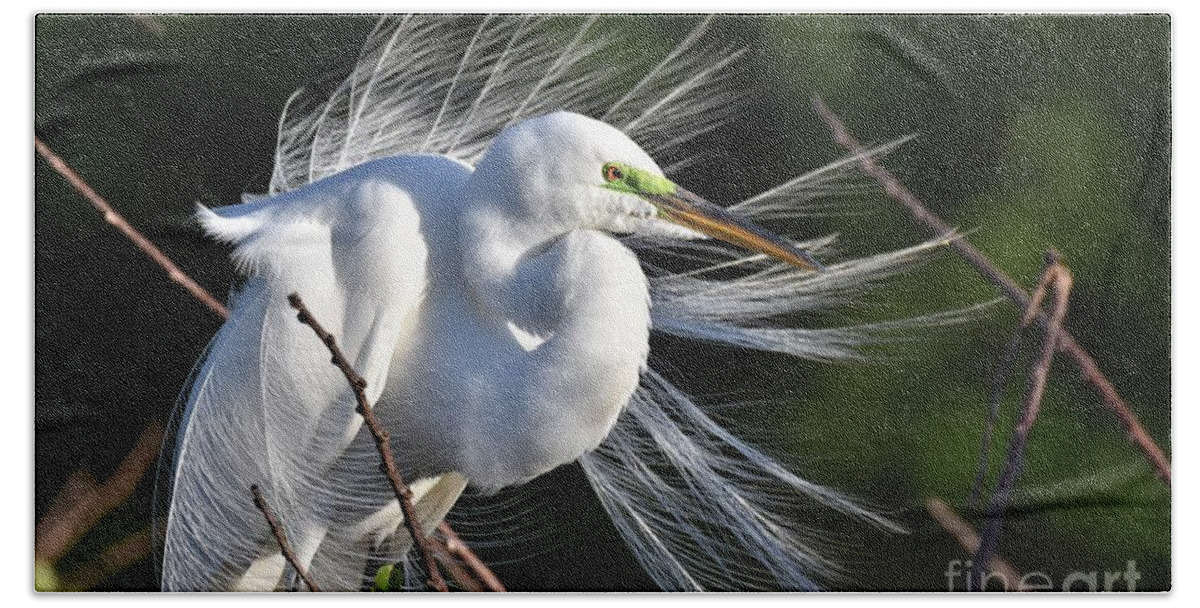 Great White Egret Bath Towel featuring the photograph Windy Day #2 by Julie Adair