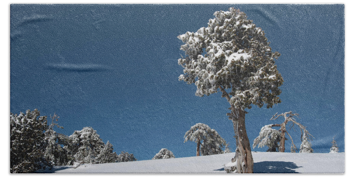 Single Tree Bath Towel featuring the photograph Winter landscape in snowy mountains. Frozen snowy lonely fir trees against blue sky. by Michalakis Ppalis