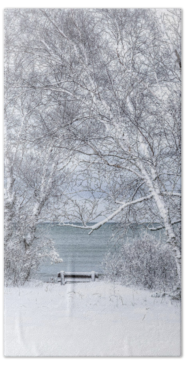  Winter Wonderland Bath Towel featuring the photograph Winter Wonderland #1 by Brad Bellisle