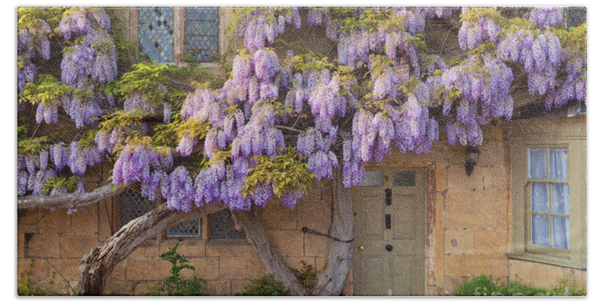 Broadway Cotswolds Hand Towel featuring the photograph Wisteria on a Cotswolds stone cottage, Broadway, England #1 by Neale And Judith Clark