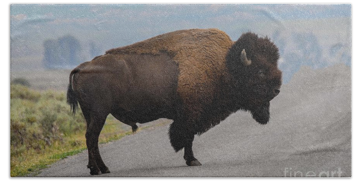 Yellowstone Bison Bath Towel featuring the digital art Yellowstone Bison #1 by Tammy Keyes