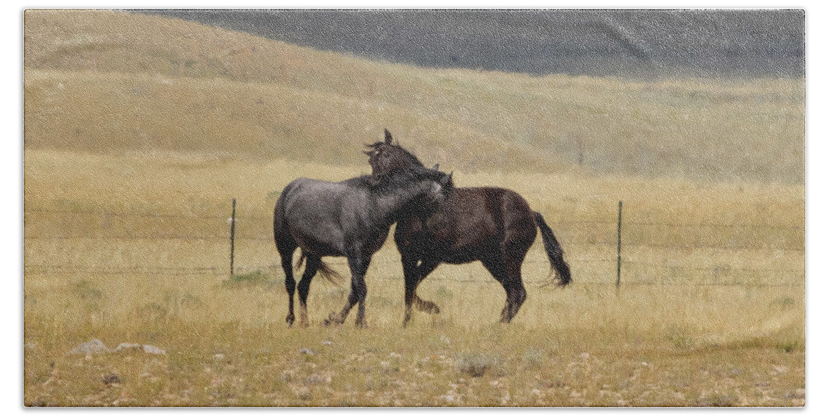 Horse Hand Towel featuring the photograph Wild Horses #10 by Laura Terriere