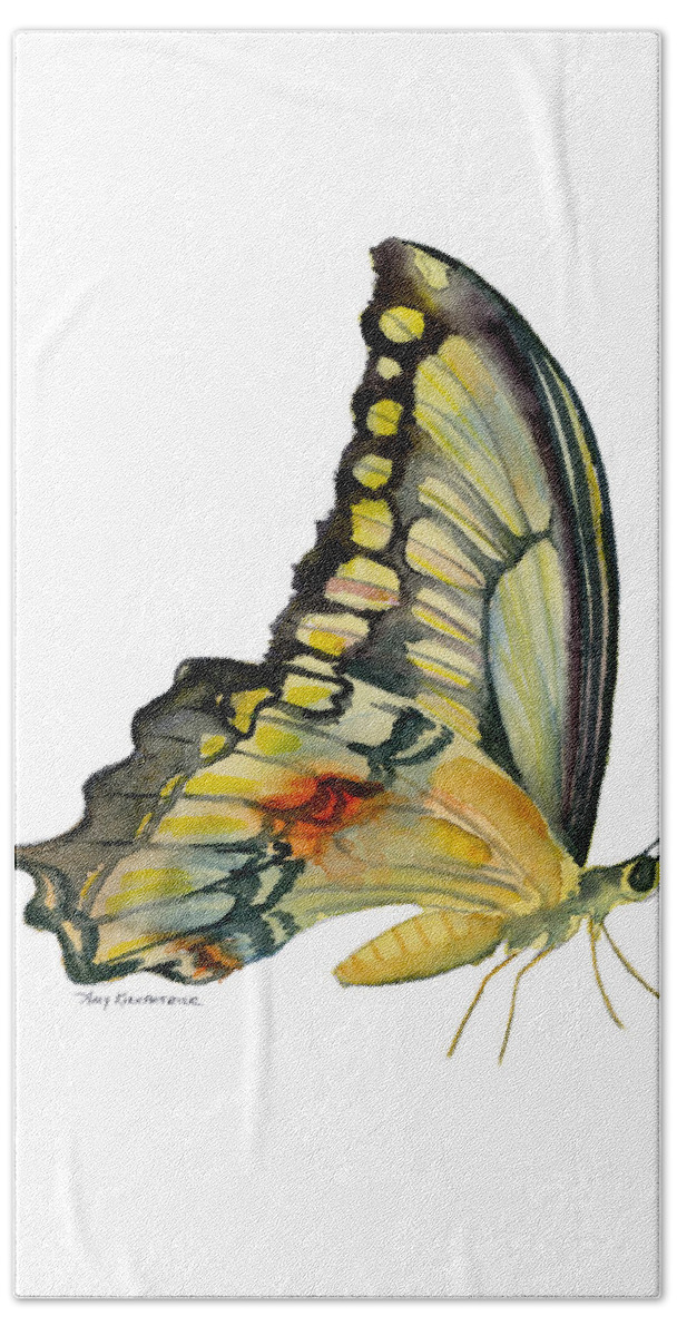 Swallowtail Butterfly Bath Sheet featuring the painting 104 Perched Swallowtail Butterfly by Amy Kirkpatrick