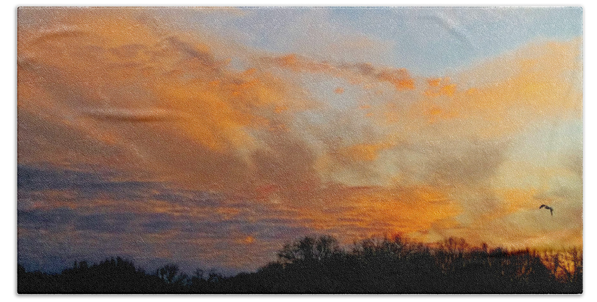 Nature Bath Towel featuring the mixed media 12/27/19 Sunset by Ally White