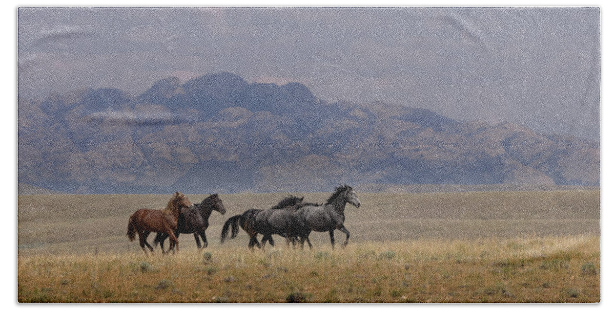 Horse Bath Towel featuring the photograph Wild Horses #12 by Laura Terriere