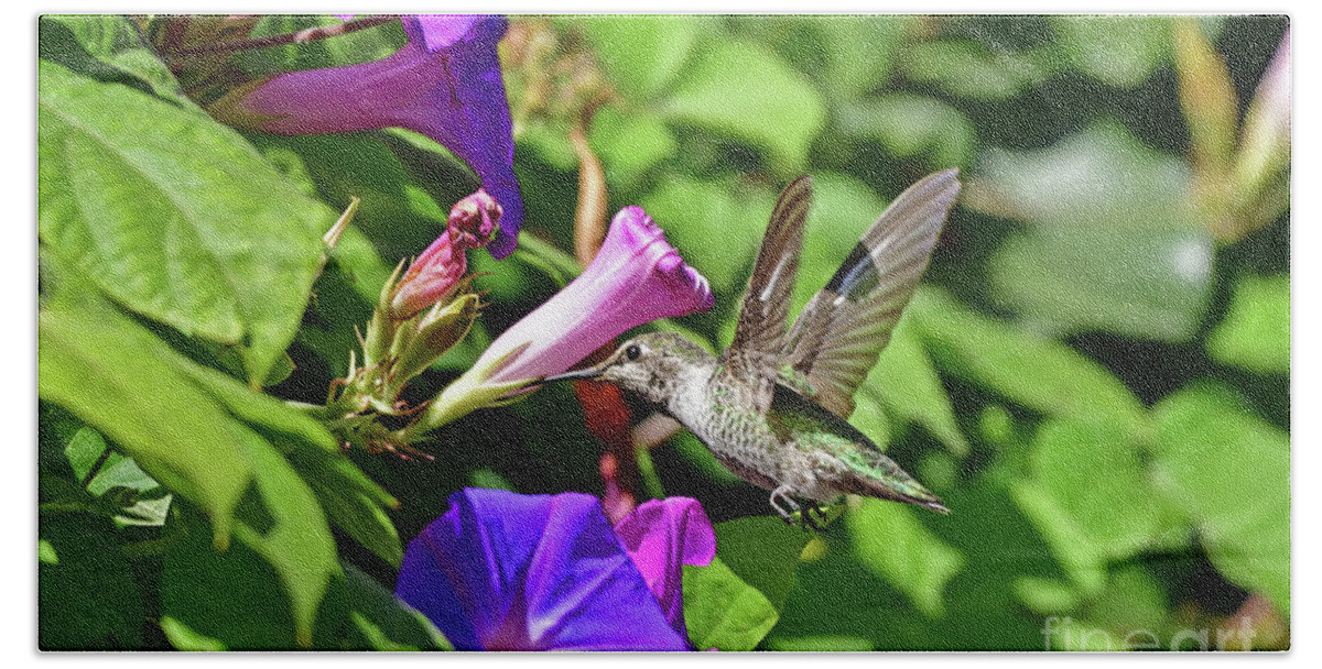 Anna's Hummingbird Hand Towel featuring the photograph Anna's Hummingbird #13 by Amazing Action Photo Video