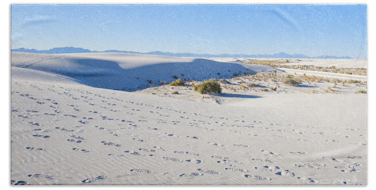 Chihuahuan Desert Bath Towel featuring the photograph White Sands Gypsum Dunes #13 by Raul Rodriguez