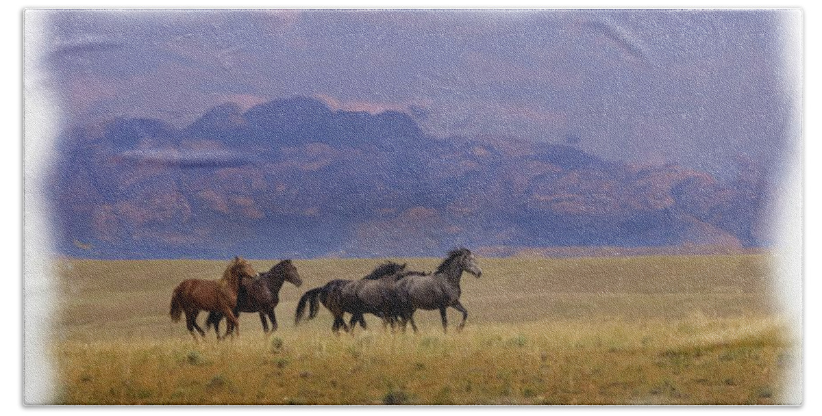 Horse Hand Towel featuring the photograph Wild Horses #13 by Laura Terriere