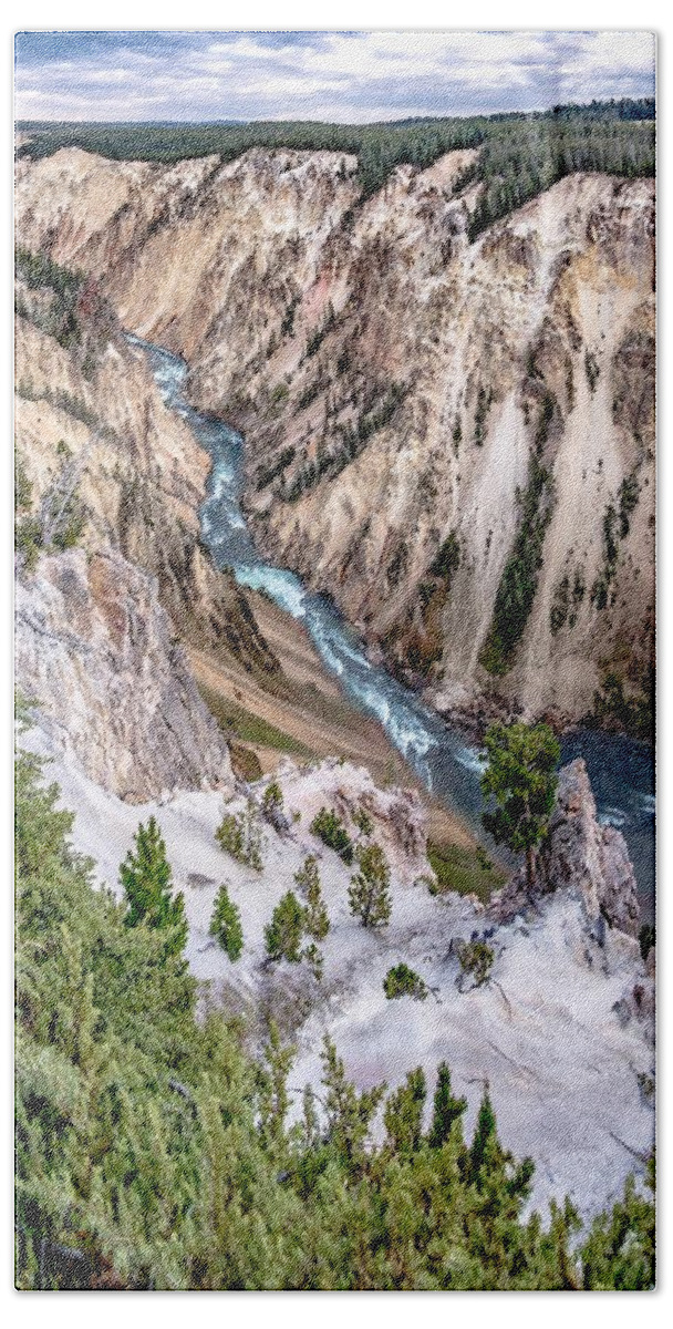 Tree Bath Towel featuring the photograph Lower Yellowstone Falls in the Yellowstone National Park #15 by Alex Grichenko