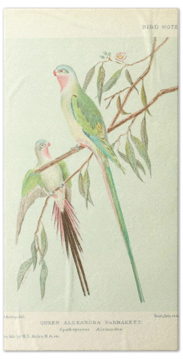 Parrot Hand Towel featuring the mixed media Beautiful Vintage Parrot #159 by World Art Collective