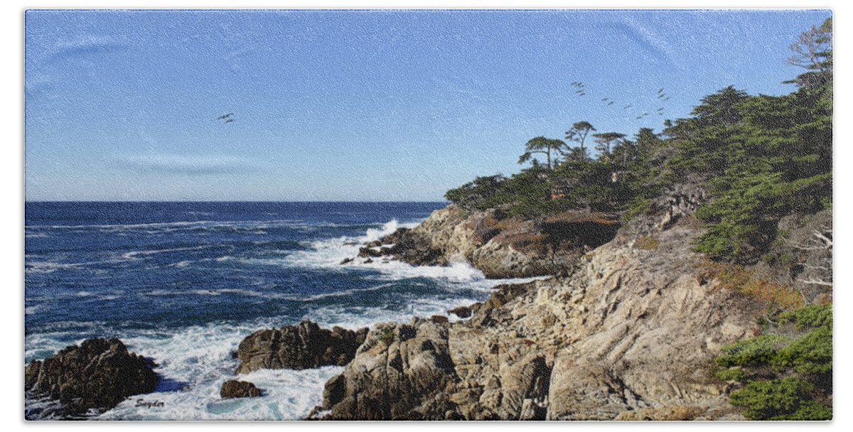 Monterey Hand Towel featuring the photograph 17 Mile Drive II by Barbara Snyder