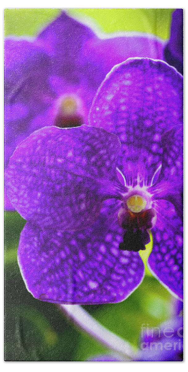 Background Bath Towel featuring the photograph Purple Orchid Flowers #17 by Raul Rodriguez