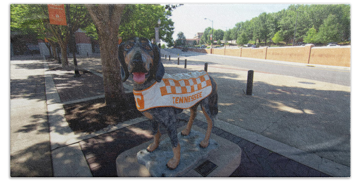 Tennessee Vols Bath Towel featuring the photograph University of Tennesse Smokey Statue #1 by Eldon McGraw