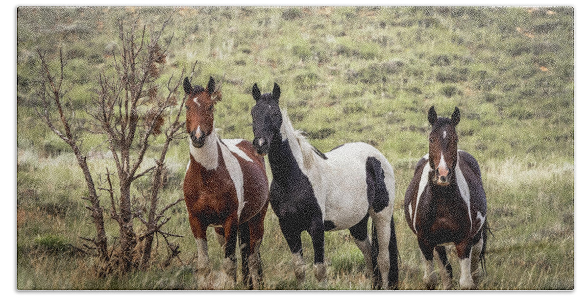 Horse Hand Towel featuring the photograph Wild Horses #17 by Laura Terriere
