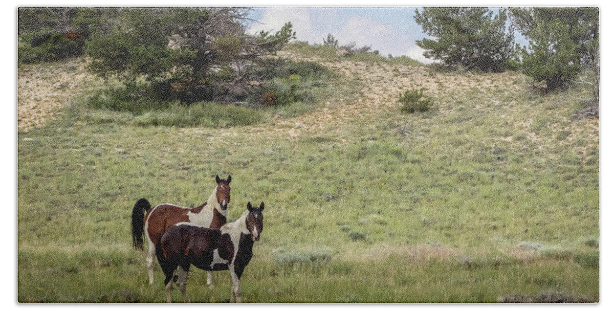 Horse Hand Towel featuring the photograph Wild Horses #18 by Laura Terriere
