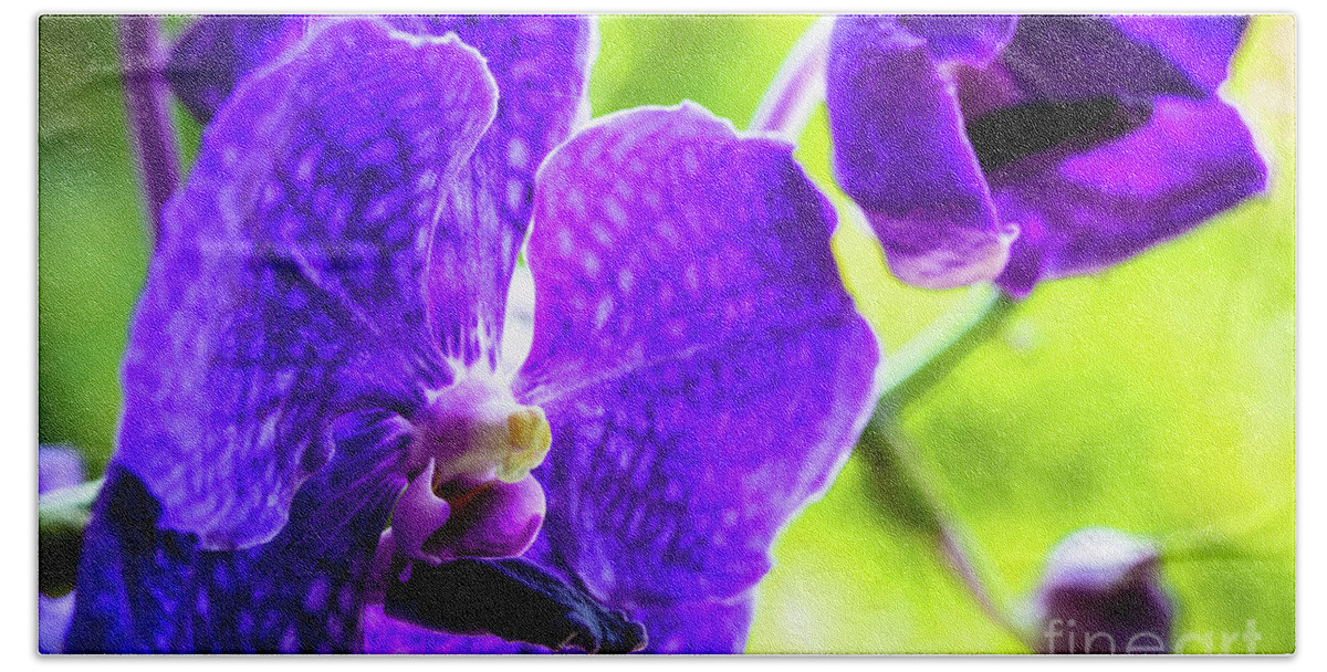 Background Bath Towel featuring the photograph Purple Orchid Flowers #19 by Raul Rodriguez