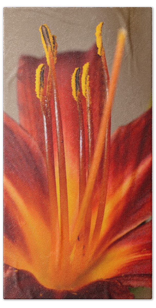 Lily Bath Towel featuring the photograph Fire Lily 2 by Amy Fose