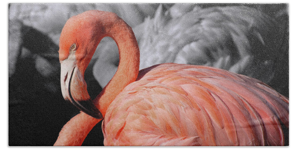 Flaming Bath Towel featuring the photograph Flamingo #3 by Carolyn Hutchins