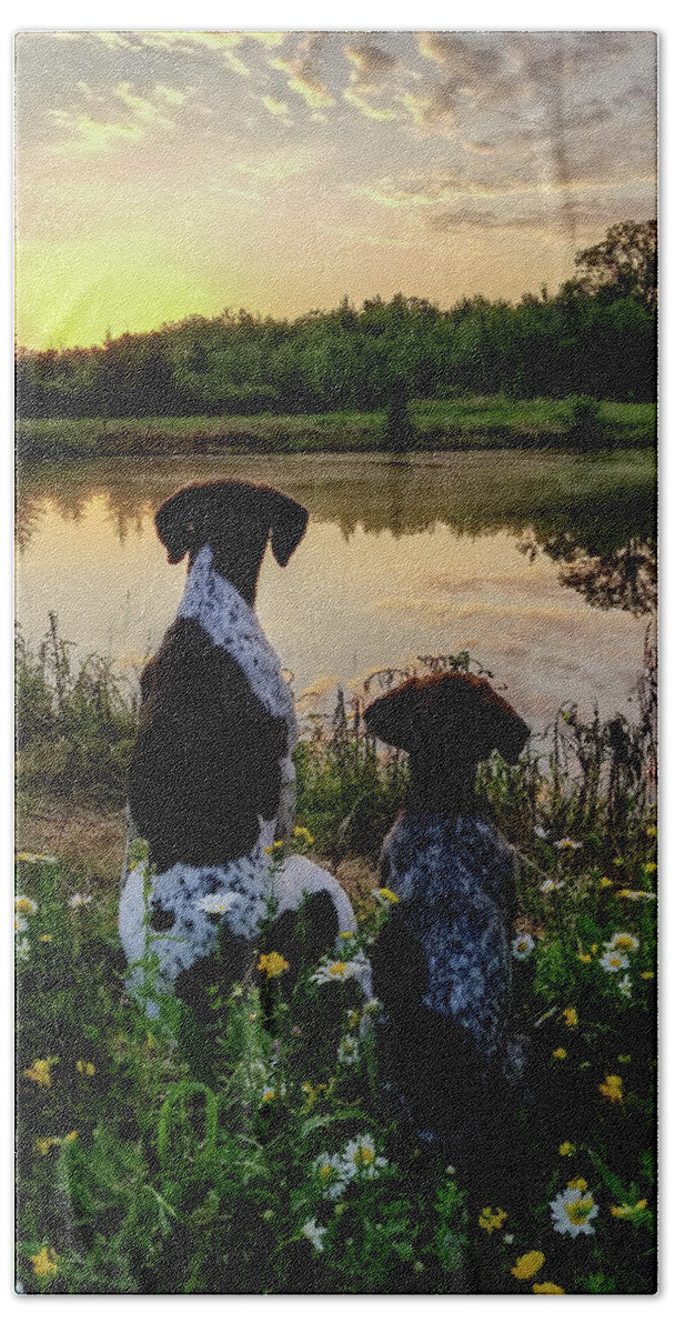 German Shorthaired Bath Towel featuring the photograph German Shorthaired Pointer #2 by Brook Burling