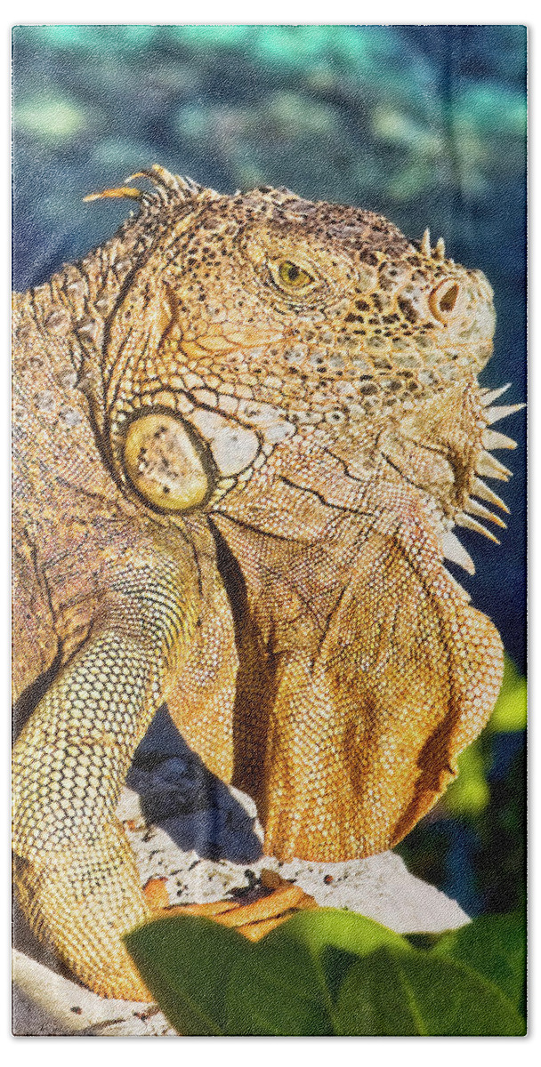 Iguana Bath Towel featuring the photograph Giant iguana by Tatiana Travelways
